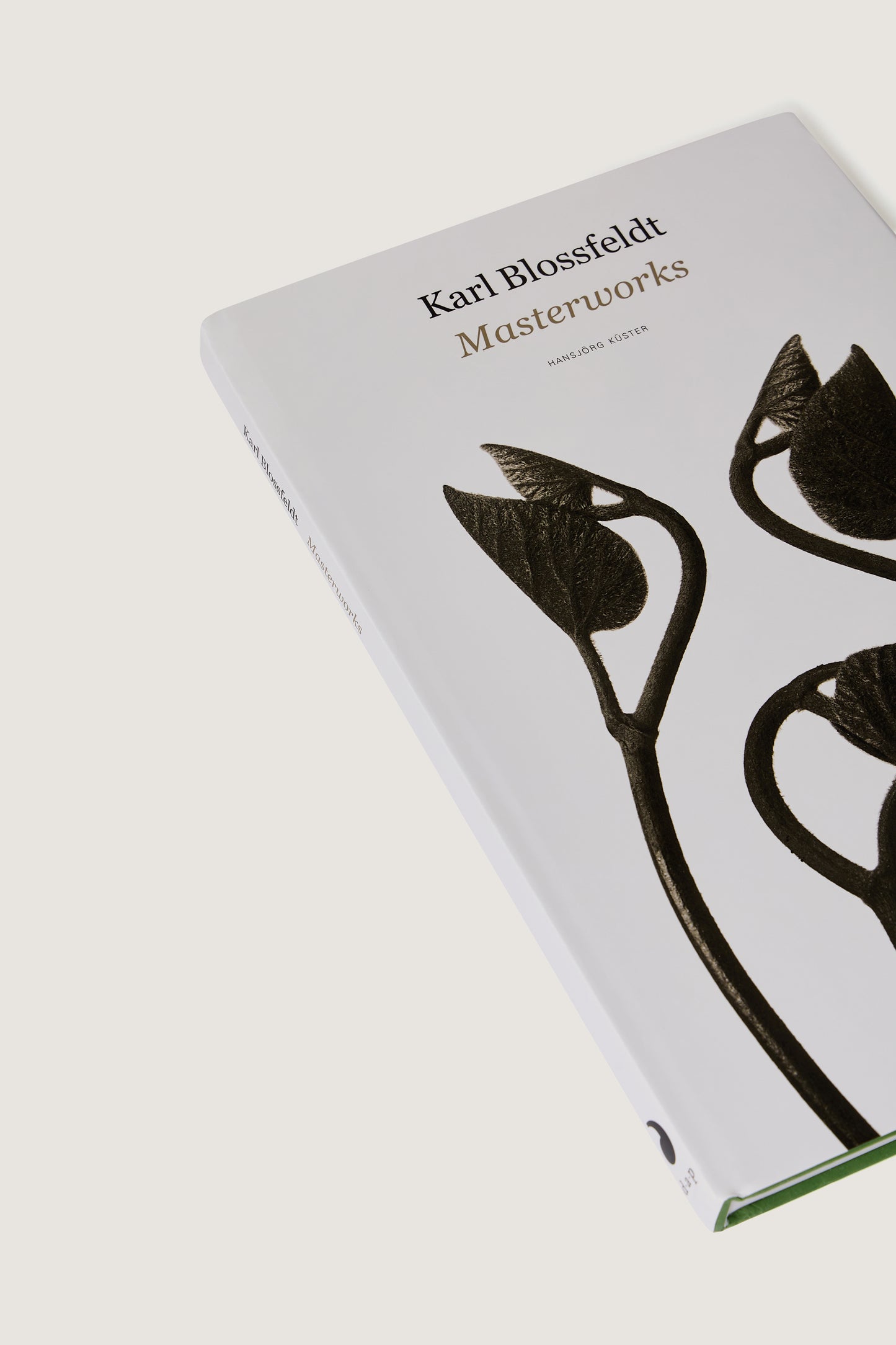 BOOK "KARL BLOSSFELDT : MASTERWORKS"
